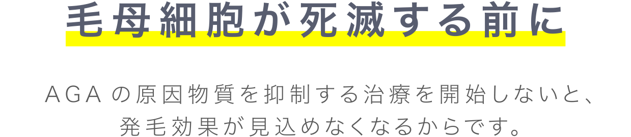 毛母細胞が死滅する前に